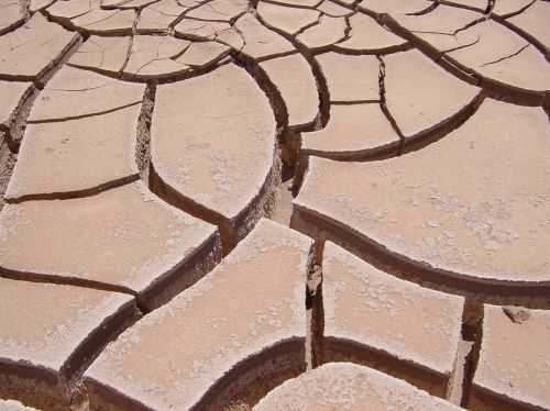 TREKKING NEL DESERTO DI ATACAMA 2014